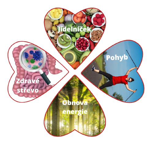 ctyrlistek removebg preview