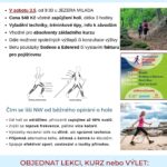 KURZ TECHNIKY NORDIC WALKING